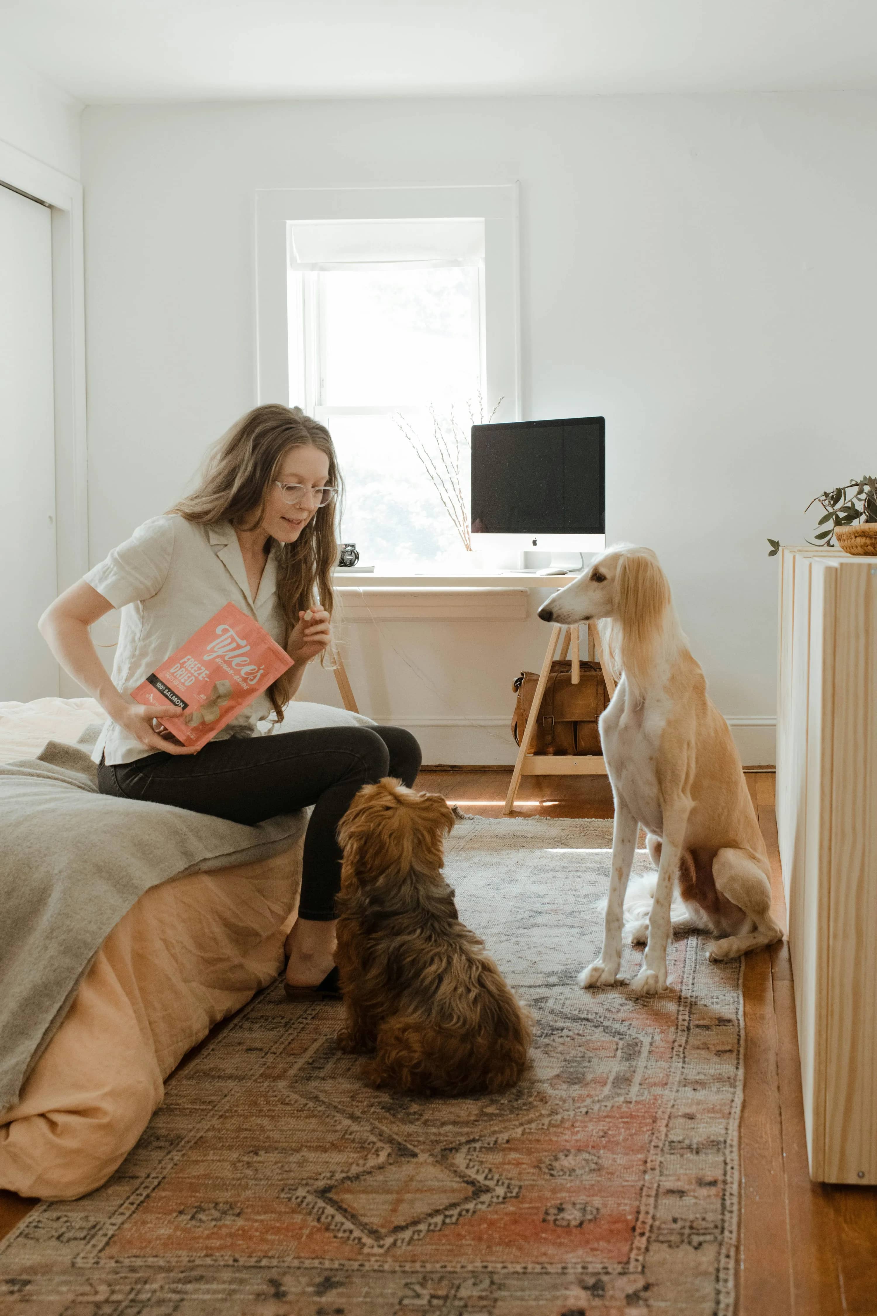 Save on Pet Sitting With Trusted Apps